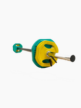 Conjunto de bomba de cuerpo
